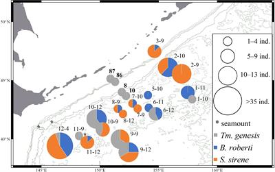 Deeper diversity exploration: New Typhlotanaidae (Crustacea: Tanaidacea) from the Kuril-Kamchatka Trench area